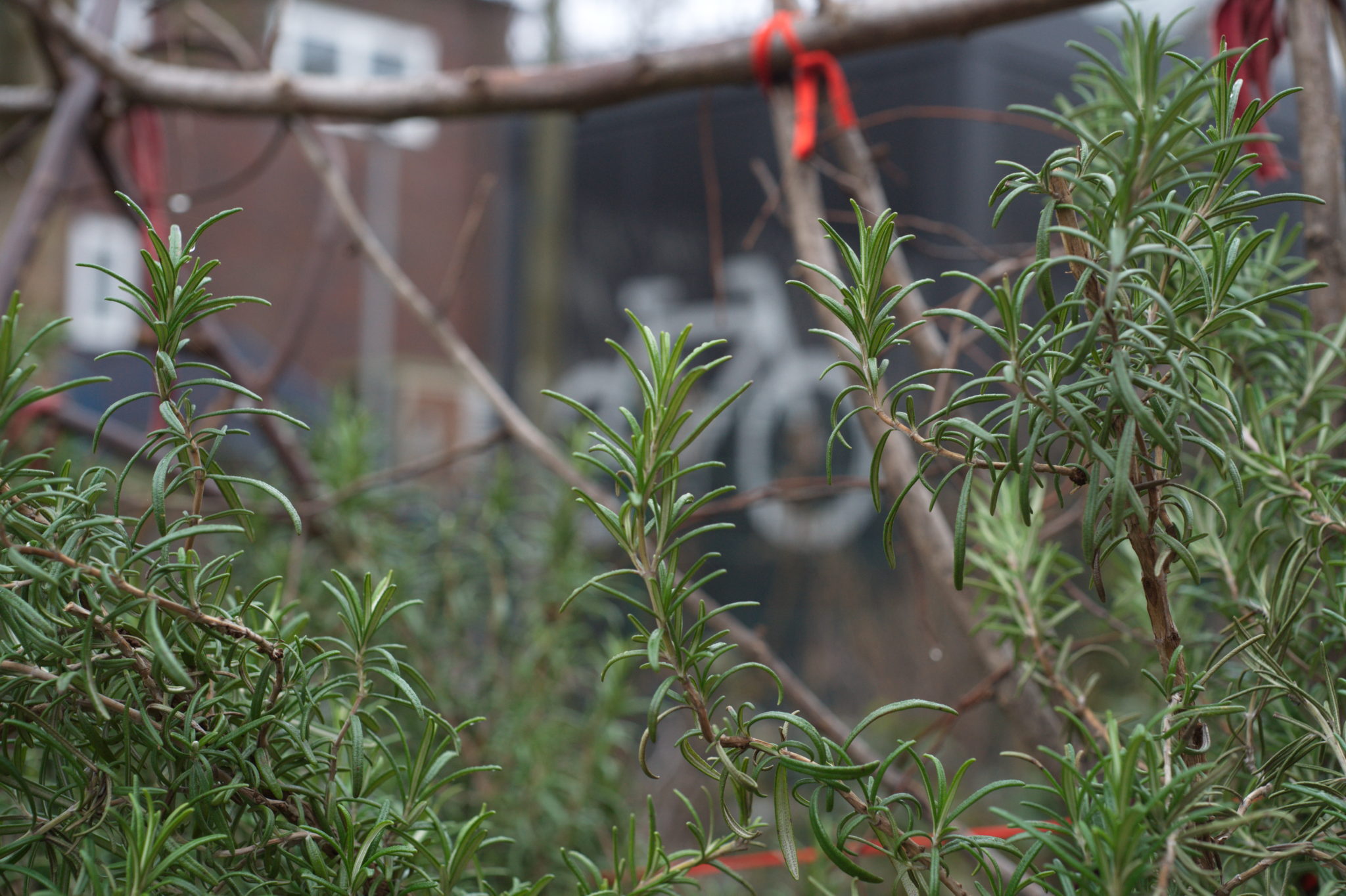 20210228  Gruen(t)raumHeimfeld 007